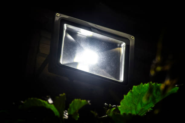 LED Flood Lights